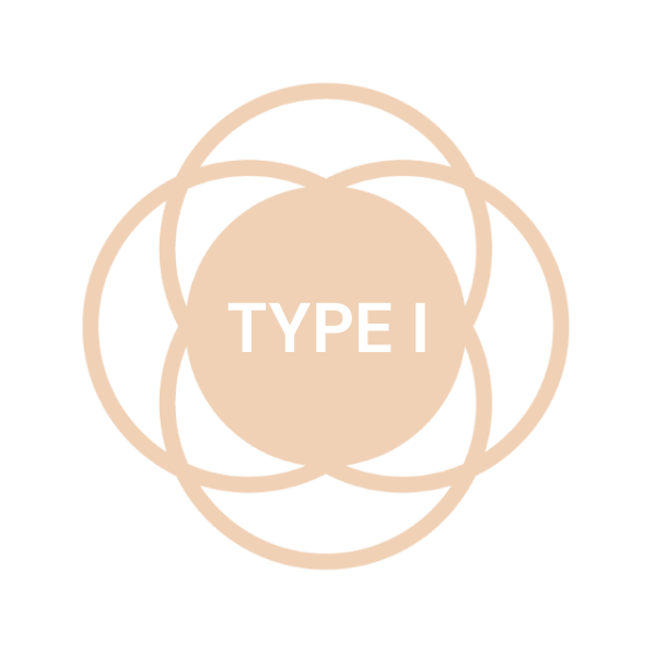 skin type1