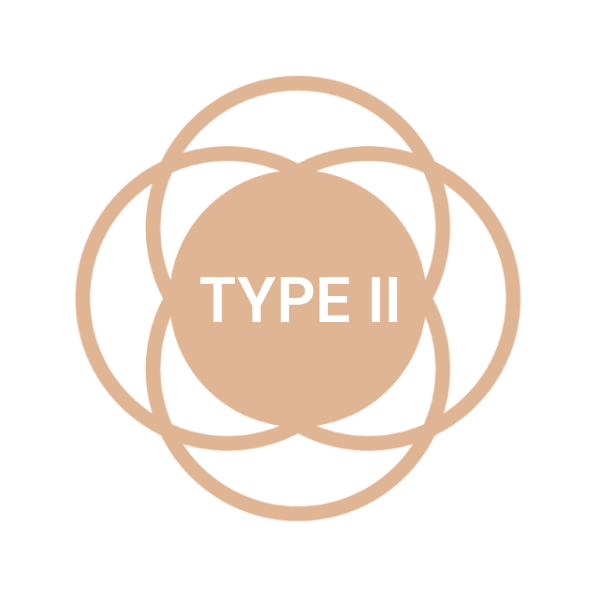 skin type2 1