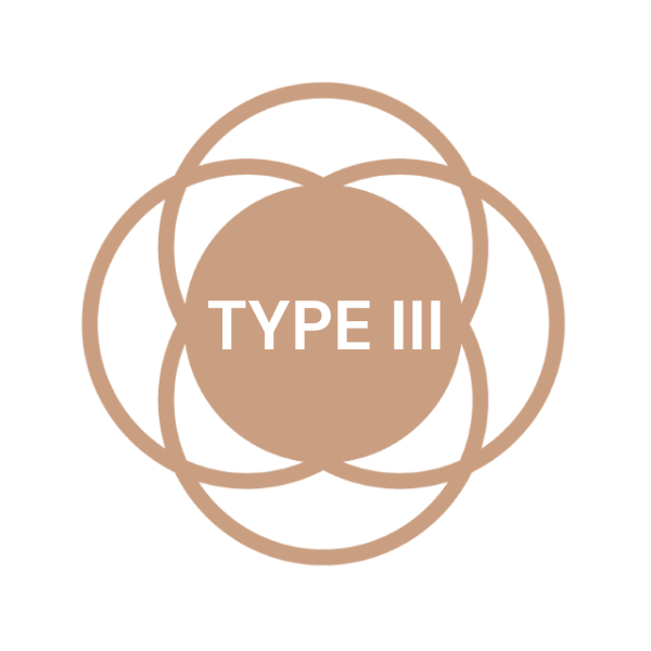 skin type3