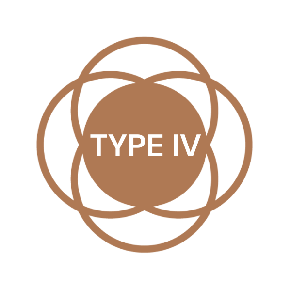 skin type4