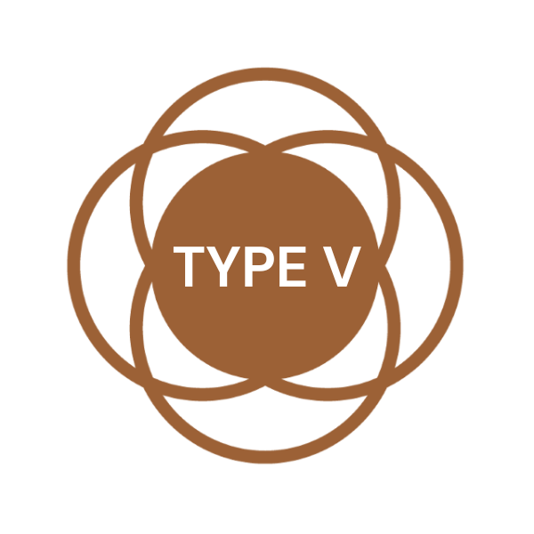 skin type5