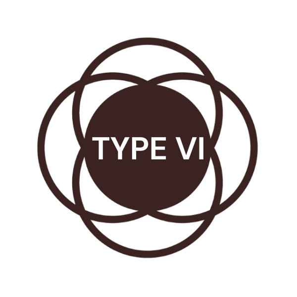 skin type6